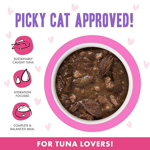 B.F.F. OMG Best Feline Friend Oh My Gravy! (3 Ounce (Pack of 12))