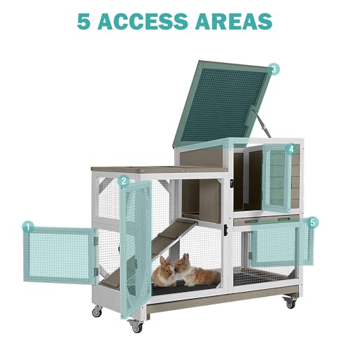 Rabbit Hutch Indoor for 2