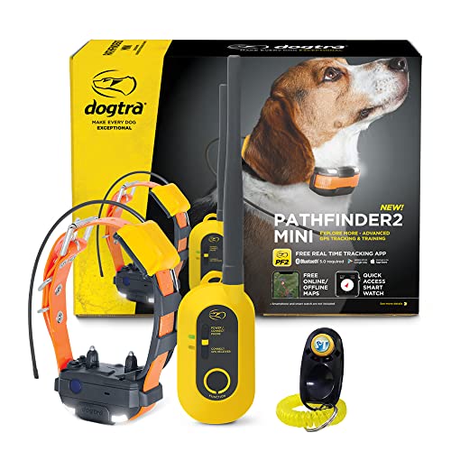 Pathfinder 2 Mini (Path 2 Mini - 1 Dog)