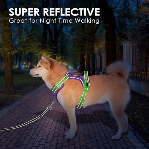 No Pull Dog Harness (Purple Base & Green Straps / Large)