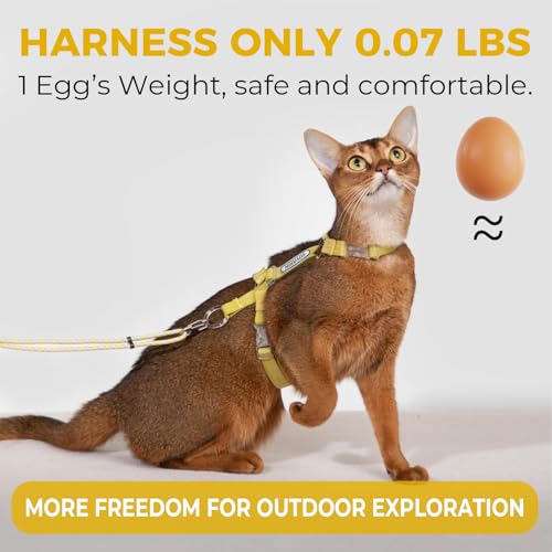 Cat Harness and Leash Set (Yellow)