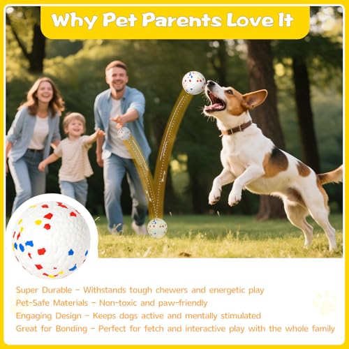 Dog Ball 2.5 inch Dog Toy for Aggressive Chewers (White)