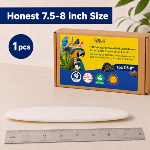 7.5 8" Cuttlebone for Birds (1 Count (Pack of 1))