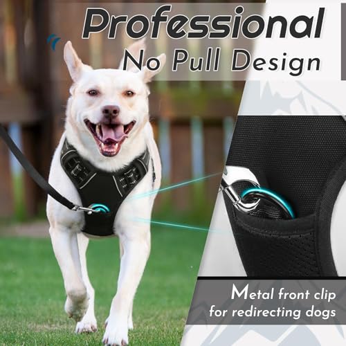 Dog Harness for Medium Sized Dogs (Medium / Black)