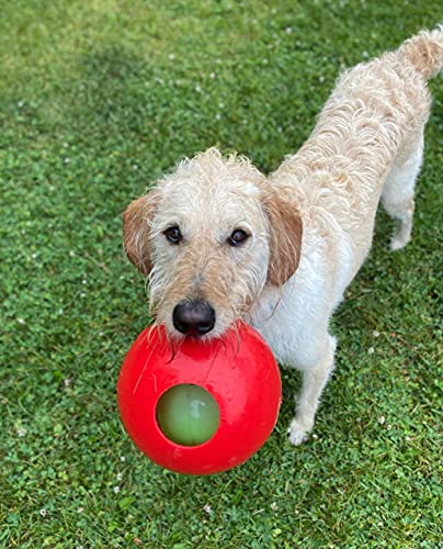 Teaser Ball Interactive Dog Toy (Red / Medium (6 in))