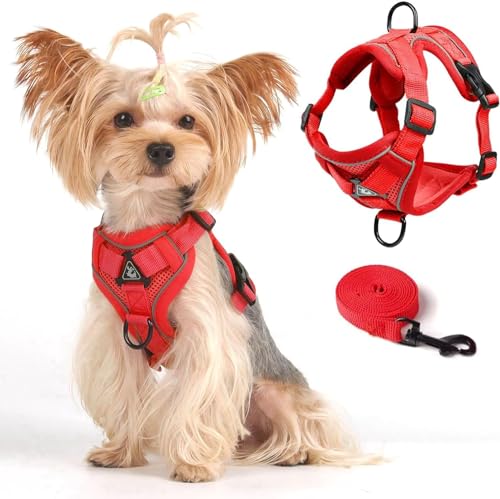 Vest Harness Leash Set for Small Dog Large Cat (Red / XL)