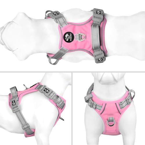 No Pull Dog Harness (Baby Pink Base & Grey Straps / Small)
