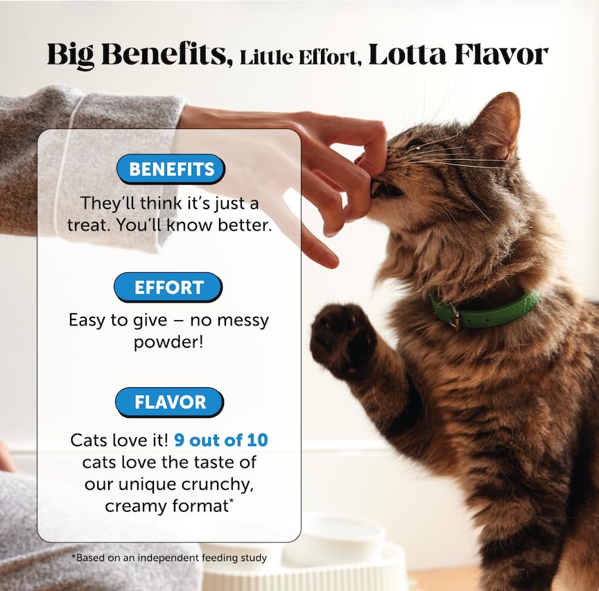 Vet Backed Skin & Coat Cat Vitamins (90-Day Supply)