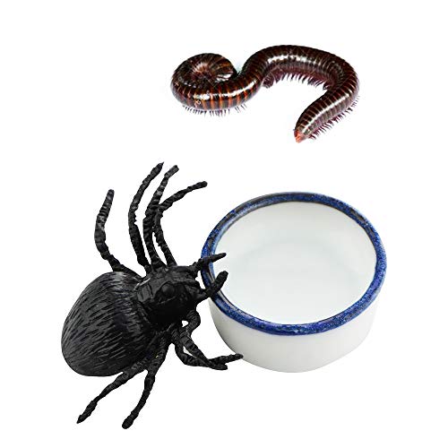 6 Pcs Spider Micro Water Bowl Mini Ceramic Dish for Spider Tarantula Millipede Tiny Reptile