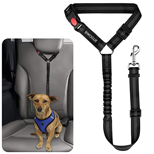 Dog Seat Belt for Car (Black)
