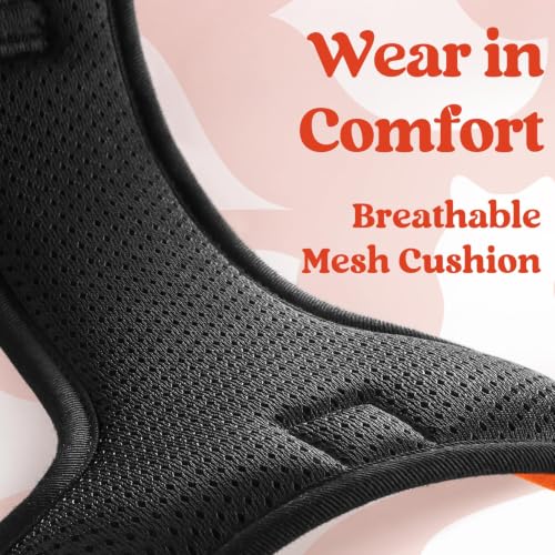 Dog Harness for Large (X-large / Orange)