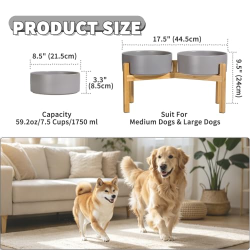 Elevated Ceramic Dog Bowl Set (Dark Gray / Large)