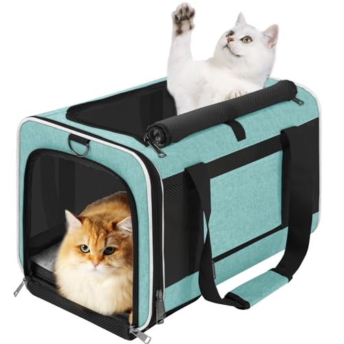 Large Cat Carrier Soft (Turquoise / 18.1"L x 11.8"W x 11.8"H)
