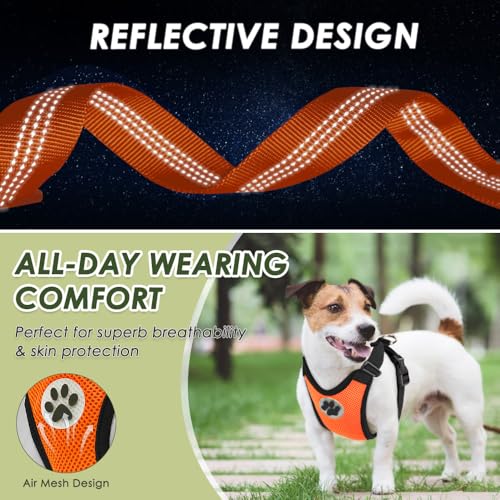 Dog Car Harness Seat Belt (Medium / ·Orange)