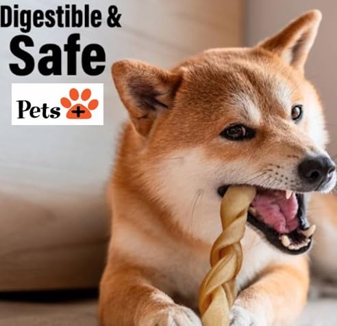 Pets Plus Premium Dog Treats (1 Ounce (Pack of 1))