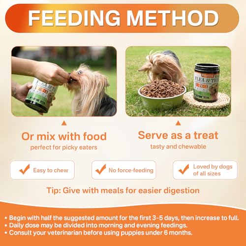 Flea and Tick Prevention for Dogs