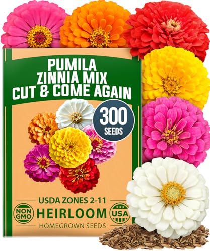Zinnia Seeds Pumila Mix