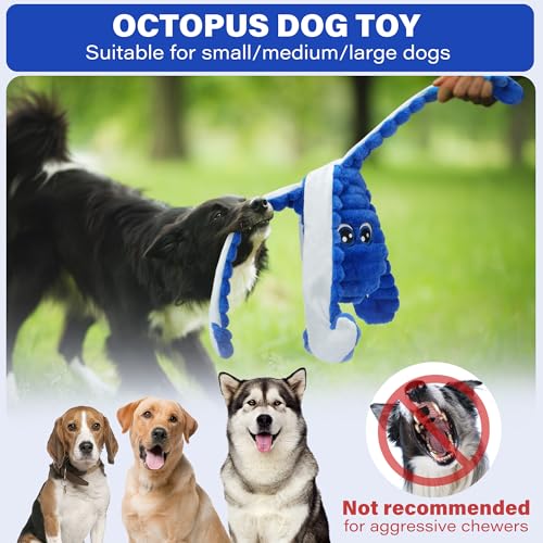 Squeaky Dog Toys for Large Dogs (Blue)