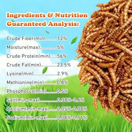 Dried Mealworms 2 LB (2 Pound (Pack of 1))