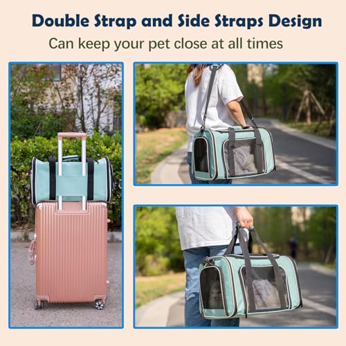Cat Dog Carrier for Small Medium Pet Carriers Up to15Lbs (18.0"L x 11.0"W x 11.0"H / Green)