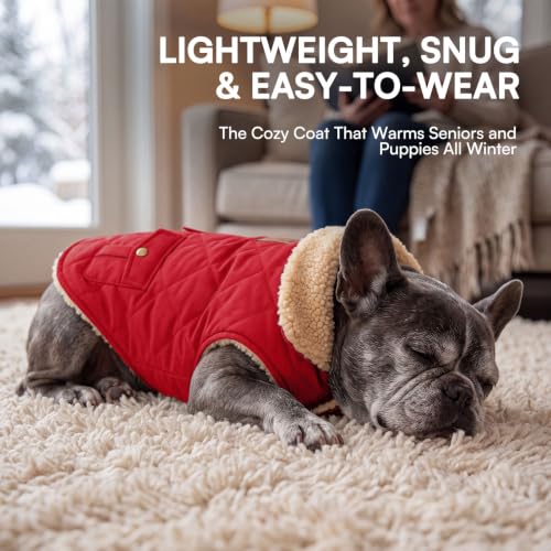 XL Warm Dog Cold Weather Coat Ultra Thick Quilting Winter Jacket (X-Large / Red)