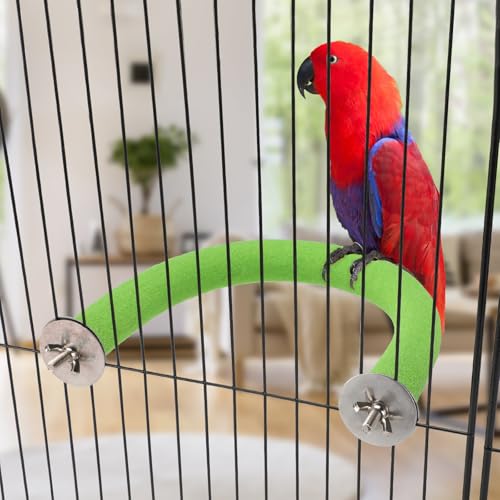 U Shaped Large Parrot Perch (Large / Green)