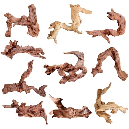 Natural Small Driftwood for Aquarium Decor Reptile Decor (Mopani Driftwood 2 to 4.5 Inch (Pack of 10))