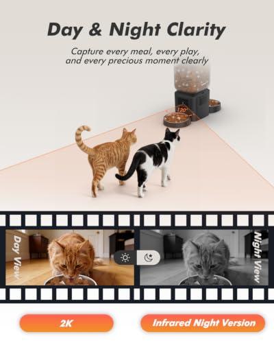 Automatic Cat Feeder for 2 Cats with 2K Cameras (Matte Black)