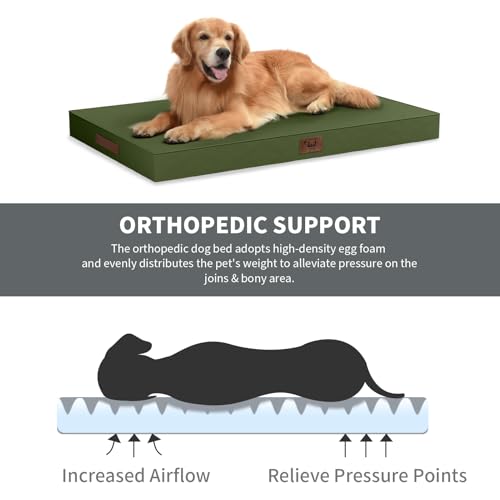 Outdoor Waterproof Orthopedic Dog Bed for Large Dogs (Amy Green / 36.0"L x 27.0"W x 3.0"Th)