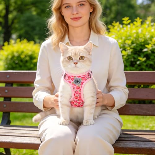Cat Harness and Leash Set (Strawberries Pink / M (Chest: 12 - 19"))