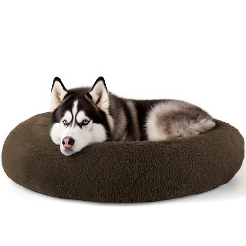 Extra Large Dog Beds (Coffee / 36.0"L x 36.0"W x 8.0"Th)