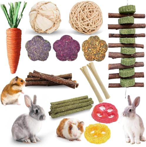21 Piece Natural Small Pet Chew Toys Set for Rabbits (colorful)
