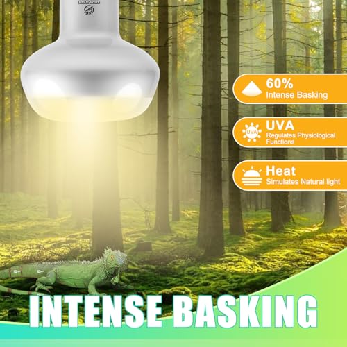 Reptile Heat Lamp 2Pack 75W (Intense Light / 2*75)