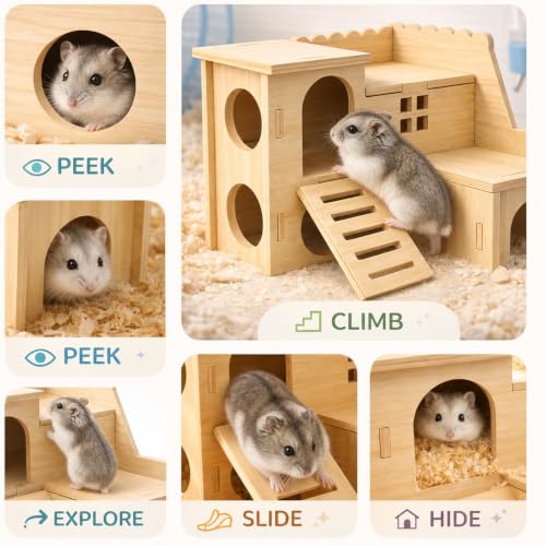Tiny Hamster Maze Wood House Fun Slide House Double