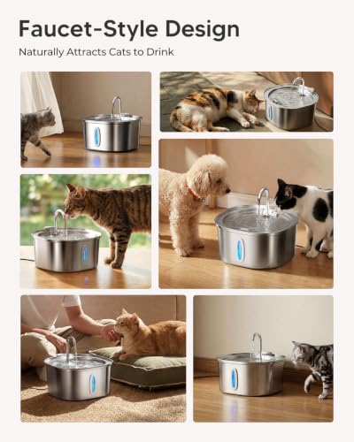 Stainless Steel Cat Water Fountain with 6 Filters