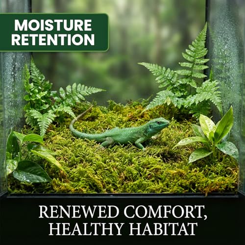 Sphagnum Moss for Reptiles (15.8 Ounces / Green)