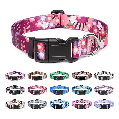 Adjustable Dog Collar (Medium / Colorful Flower)
