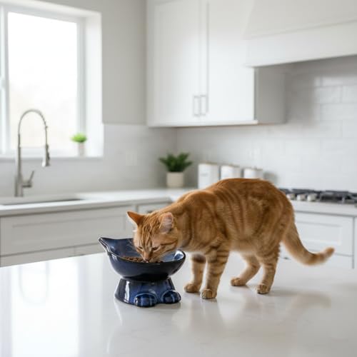 Elevated Cat Bowls (6.8 OZ / Blue & Black)