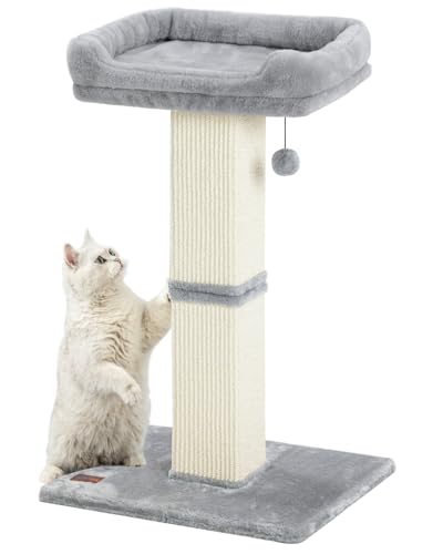 32" Cat Scratching Post for Indoor Cats (Grey)