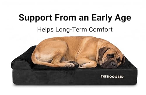 The Dog’s Bed Orthopedic Memory Foam Dog Bed with Headrest XL (Black Plush / XL (46"L x 28"W x 6"Th))