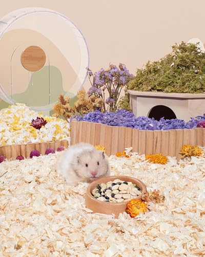 Hamster Snack & Treats Toy