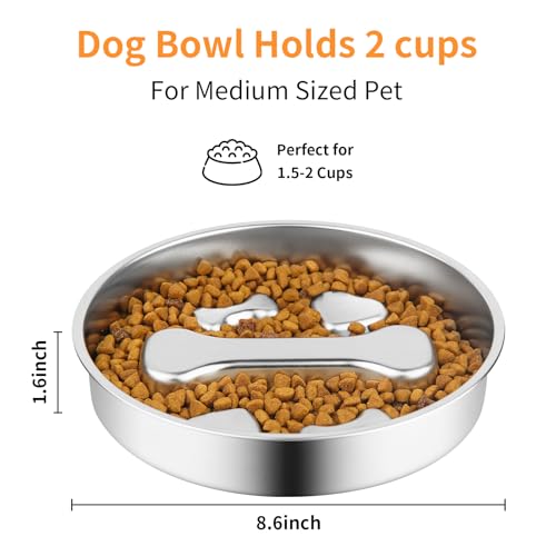 Non Slip Stainless Steel Slow Feeder Dog Bowl (2 Cups)