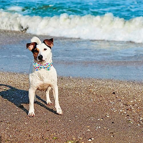 Dog Collar Summer Dog Collar with Bow tie (Colorful Bear / X-Small (Pack of 1))