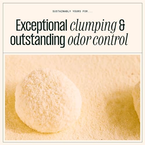 Natural Cat Litter (10 lb / Small grains)