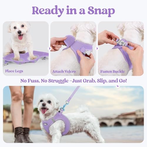 Dog Harness Medium Sized and Leash Set (Light Purple / M (chest: 16 - 18.5"))