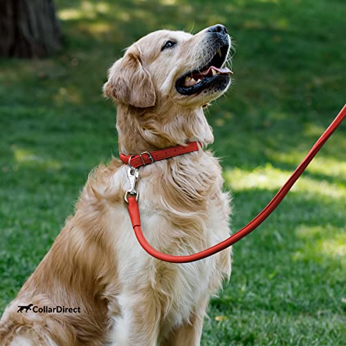 Tangle Free Rolled Leather Dog Collar