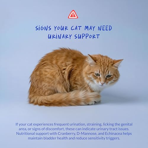 Cranberry Supplement for Cat UTI Treatment & Bladder Support with D