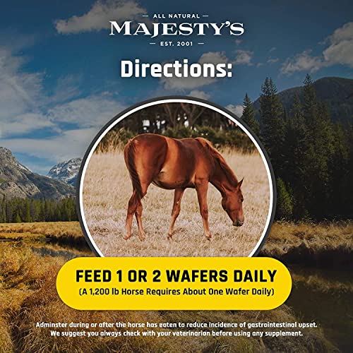 Flex XT Wafers (120 Count (4 Month Supply))