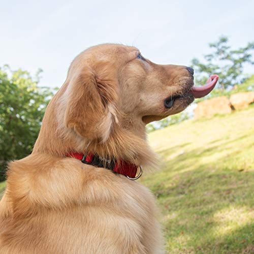 Red Puppy Collar (Small / Red)