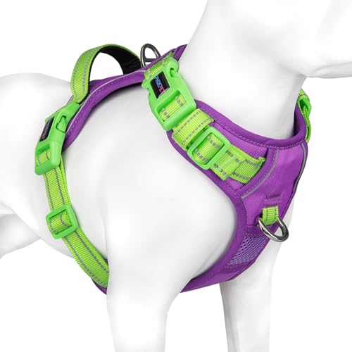 No Pull Dog Harness (Purple Base & Green Straps / Large)